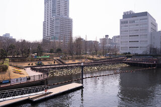 100569_06.jpg 100569_06.jpg